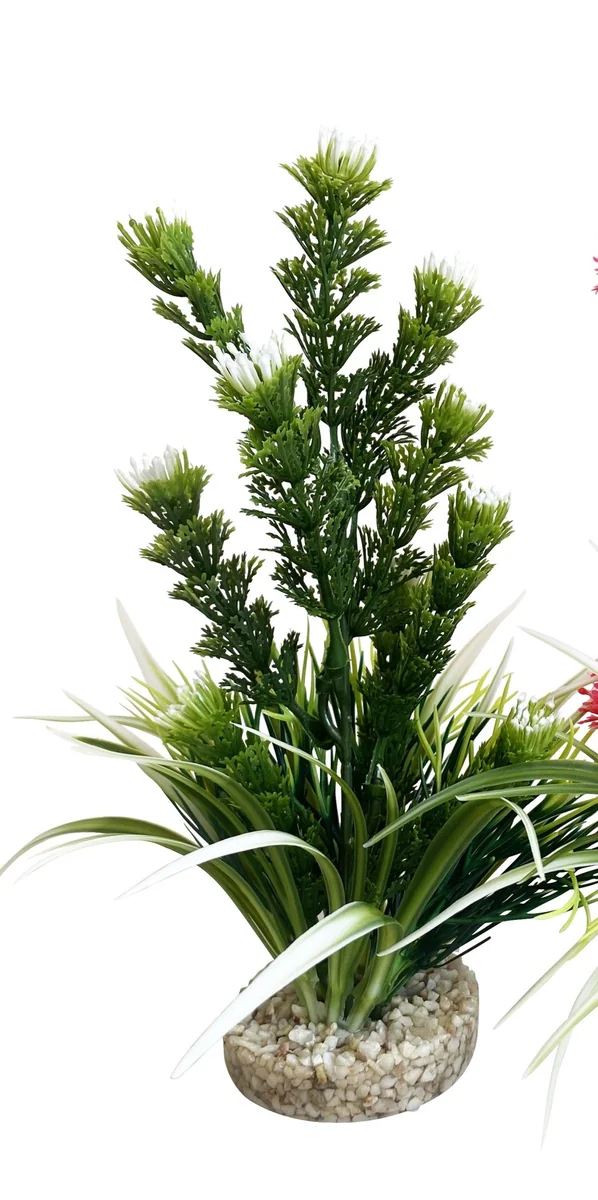 Sydeco Planta AquaPlant Medium 21 cm349701