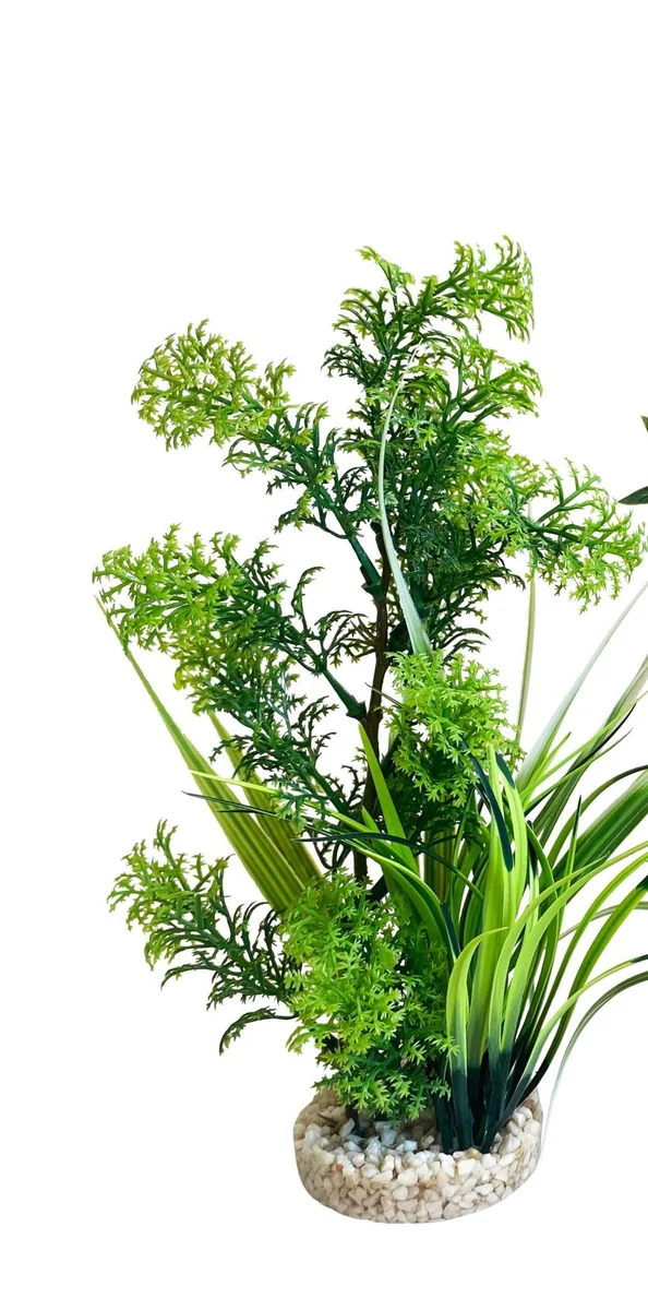 Sydeco Planta AquaPlant Medium 21 cm349701