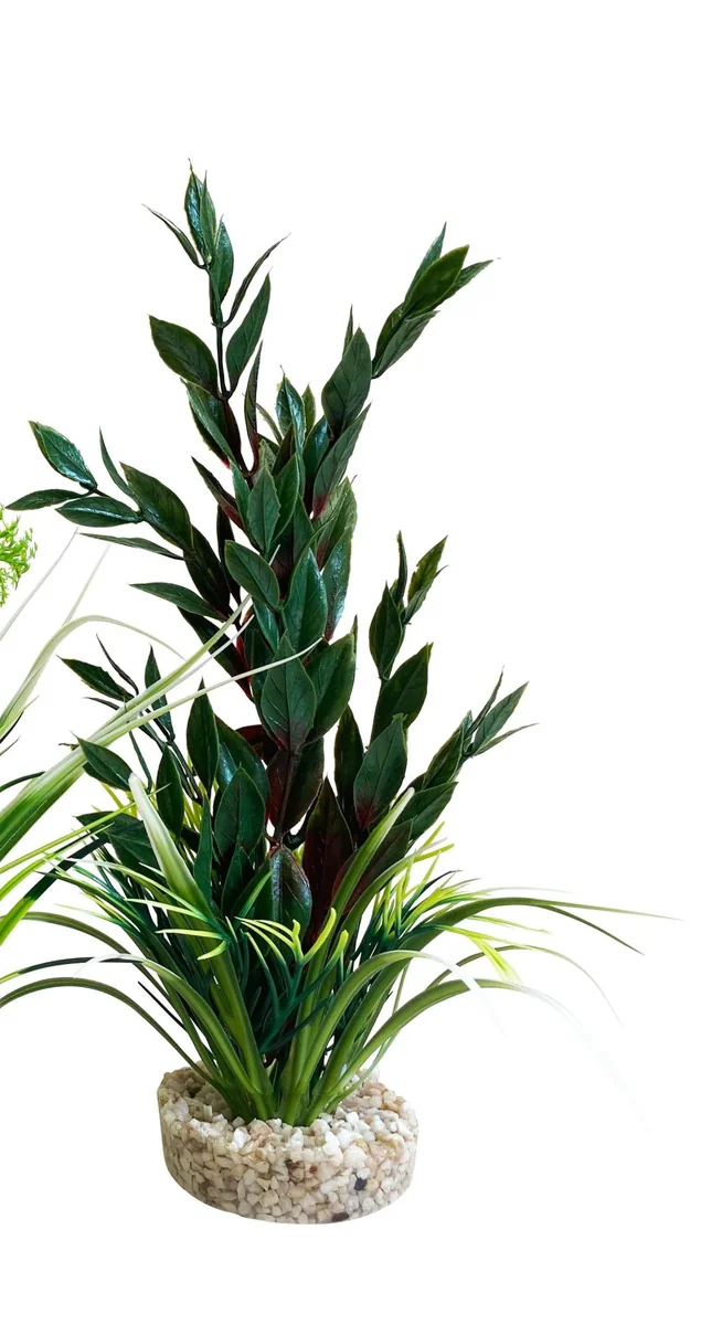 Sydeco Planta AquaPlant Medium 21 cm349701