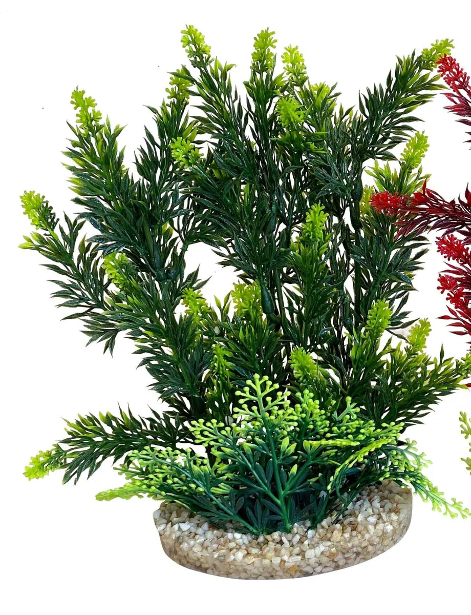 Sydeco Planta Hedge 24 cm 349708