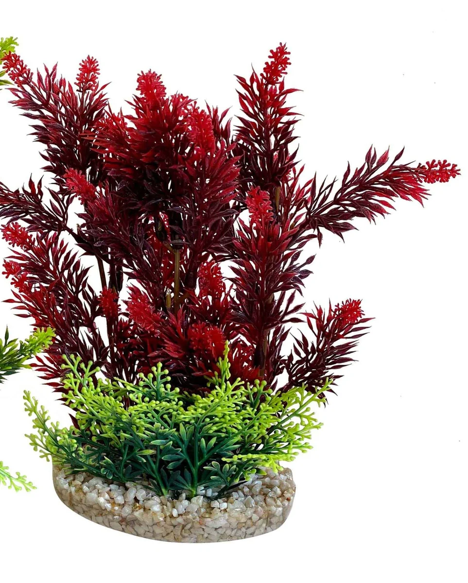 Sydeco Planta Hedge 24 cm 349708