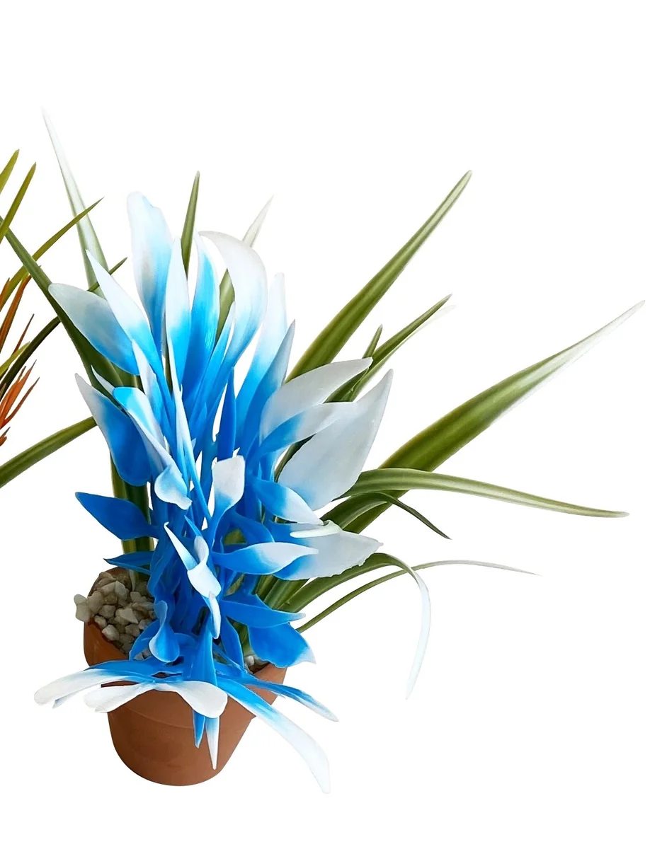 Sydeco Planta Aquaplant Small Pot Mix 18 cm 349716