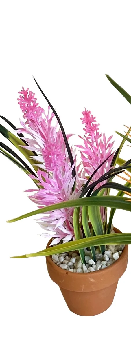 Sydeco Planta Aquaplant Small Pot Mix 18 cm 349716