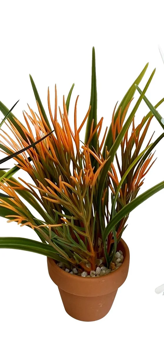 Sydeco Planta Aquaplant Small Pot Mix 18 cm 349716