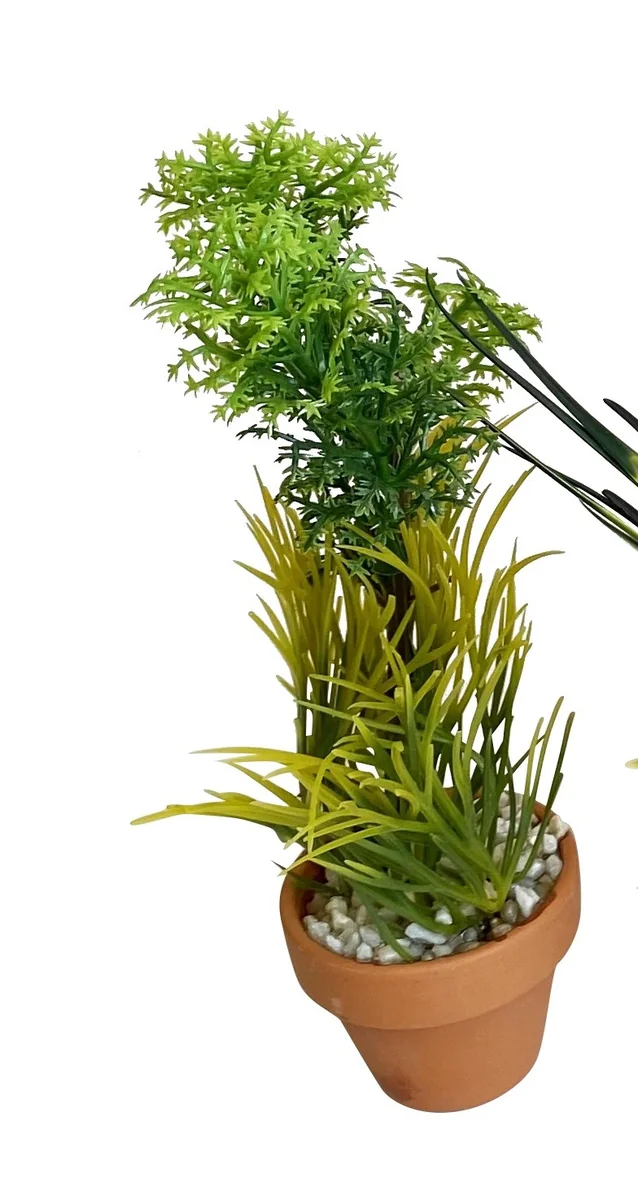 Sydeco Planta Aquaplant Small Pot Mix 18 cm 349716