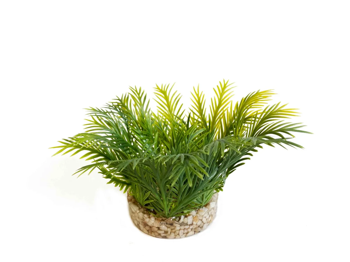 Sydeco Planta Green Moss 7 cm 349720