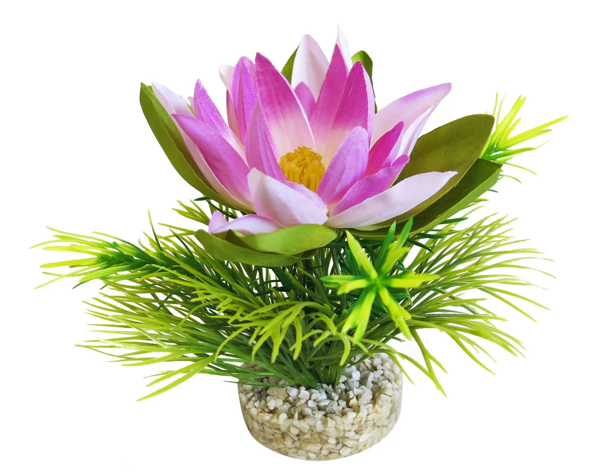 Sydeco Planta Lotus Flower 18 cm 349722