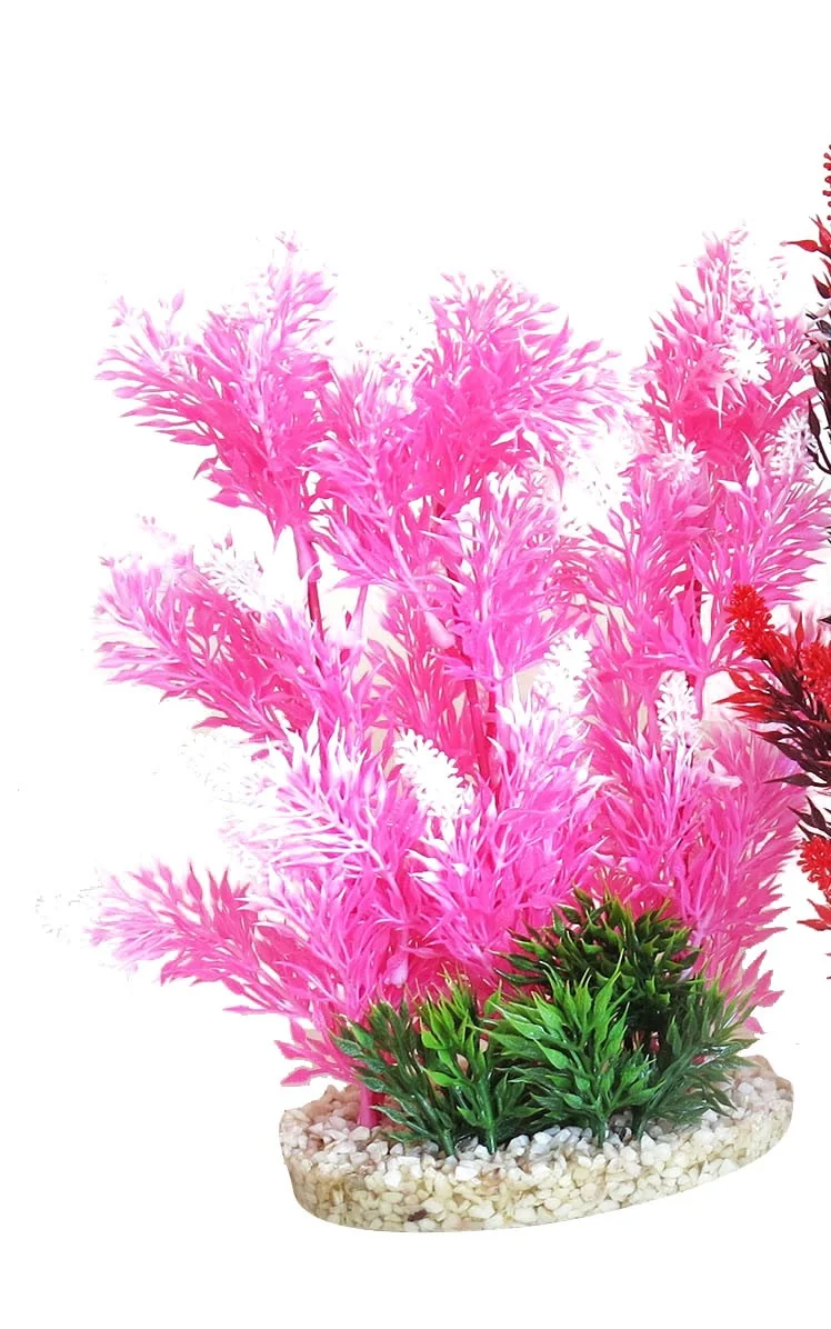 Sydeco Planta Aquaplant Color Hedge 24 cm 349903