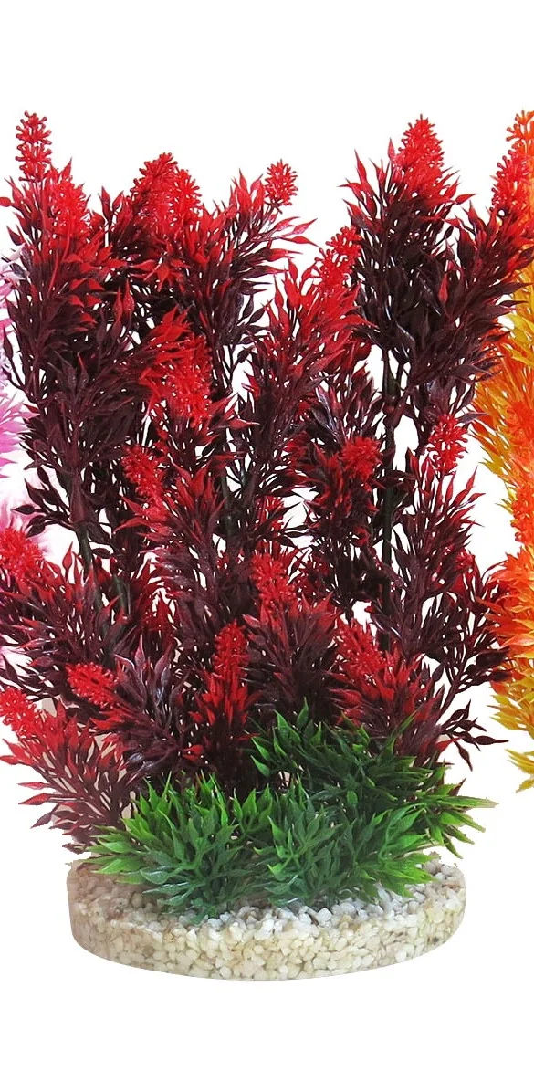 Sydeco Planta Aquaplant Color Hedge 24 cm 349903