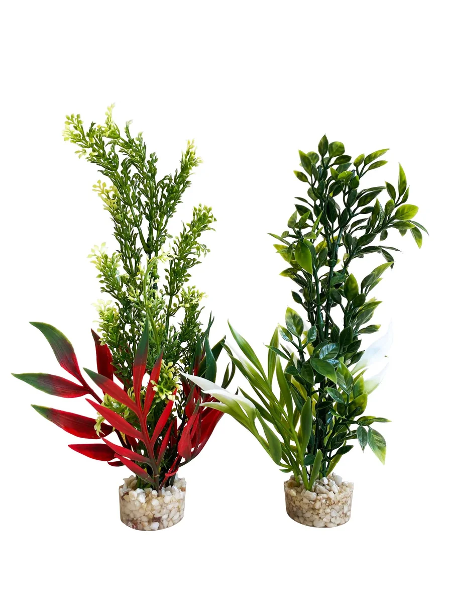 Sydeco Planta Tropica Bouquet 20 cm 350107