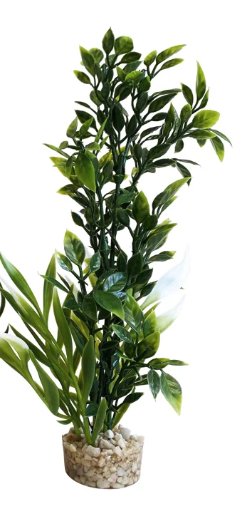 Sydeco Planta Tropica Bouquet 20 cm 350107