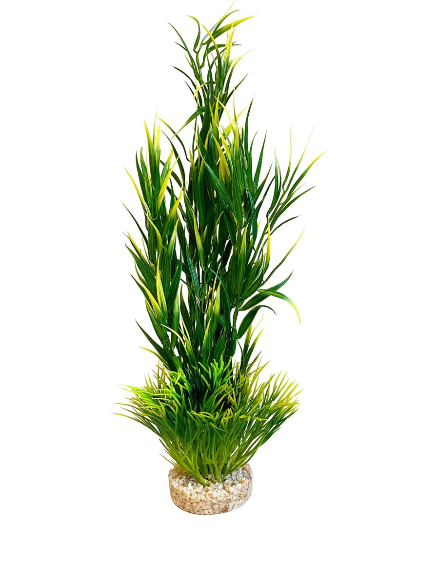 Sydeco Planta Wild Mountain 39 cm 350115
