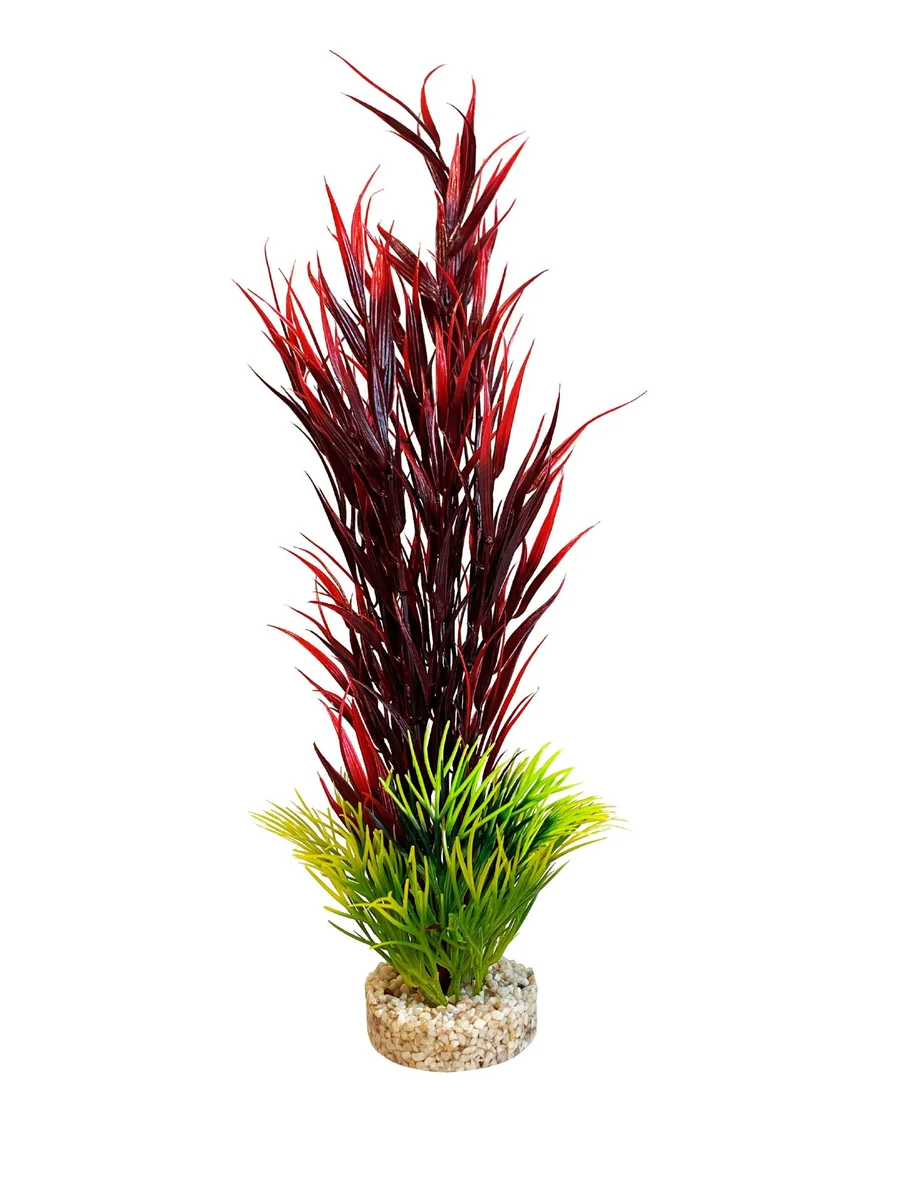 Sydeco Planta Wild Mountain 39 cm 350115