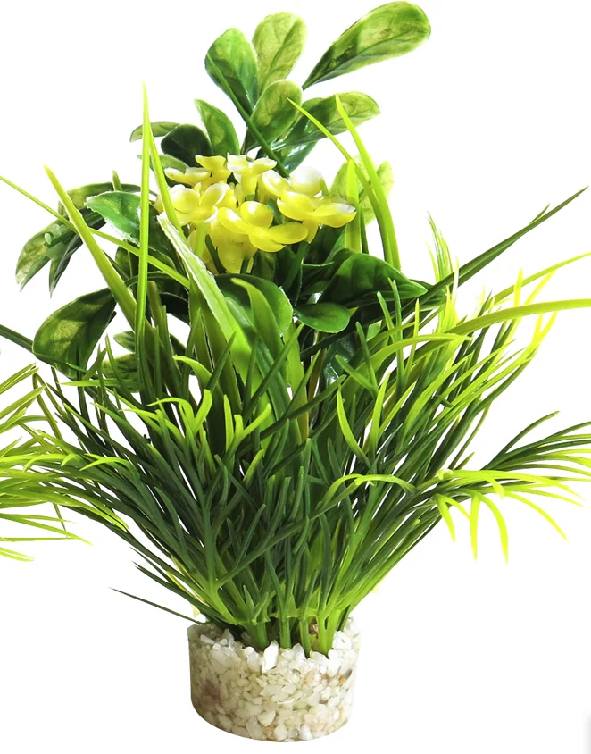 Sydeco Planta Blooming 15 cm 350116