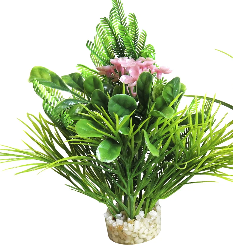 Sydeco Planta Blooming 15 cm 350116