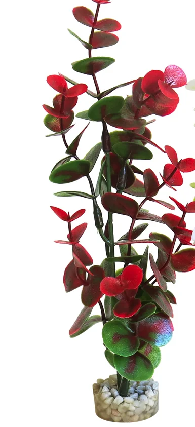 Sydeco Planta Water Eucalyptus 22 cm 350118