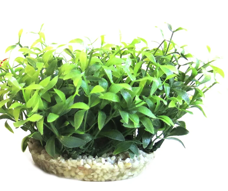 Sydeco Planta Water Bowl Maxi 10 cm 350135