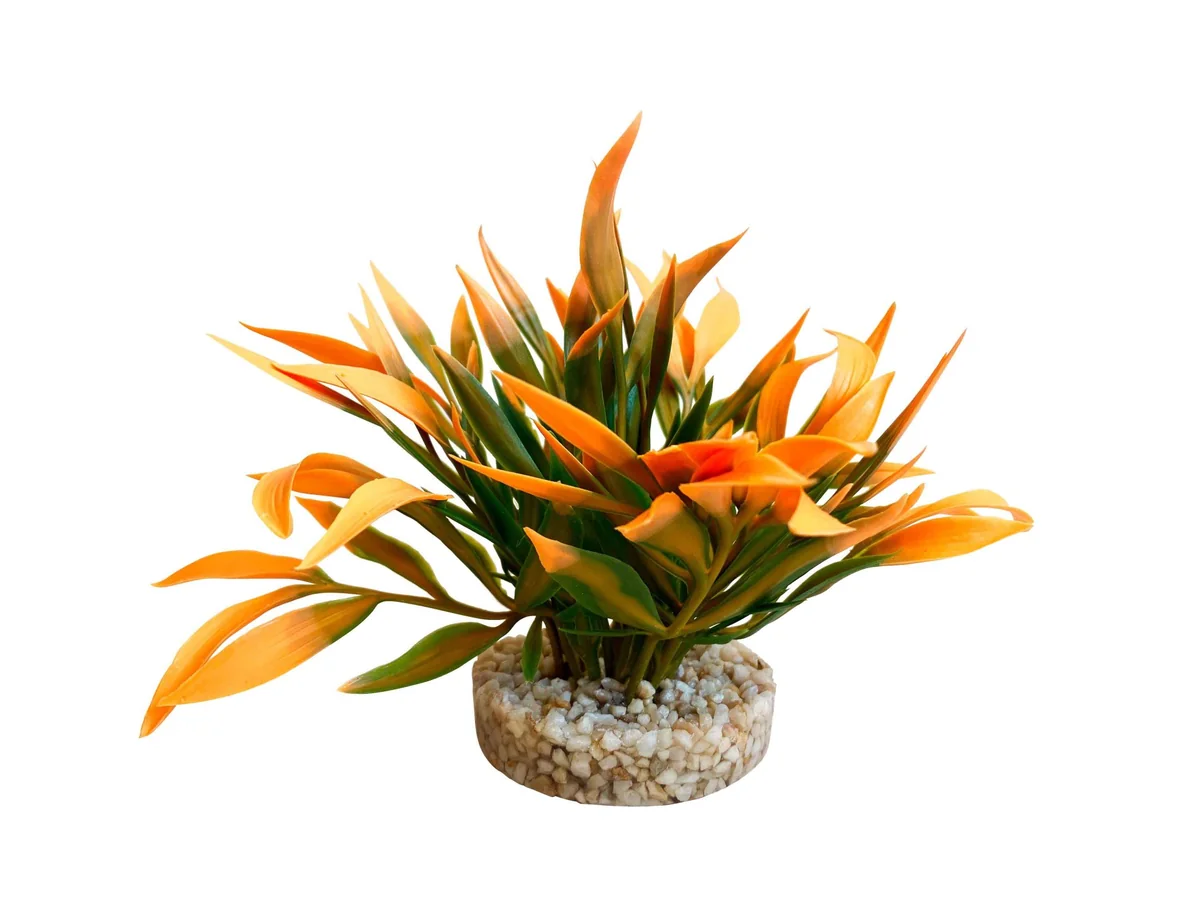 Sydeco Planta Nano Bush Coloured 9 cm 350136