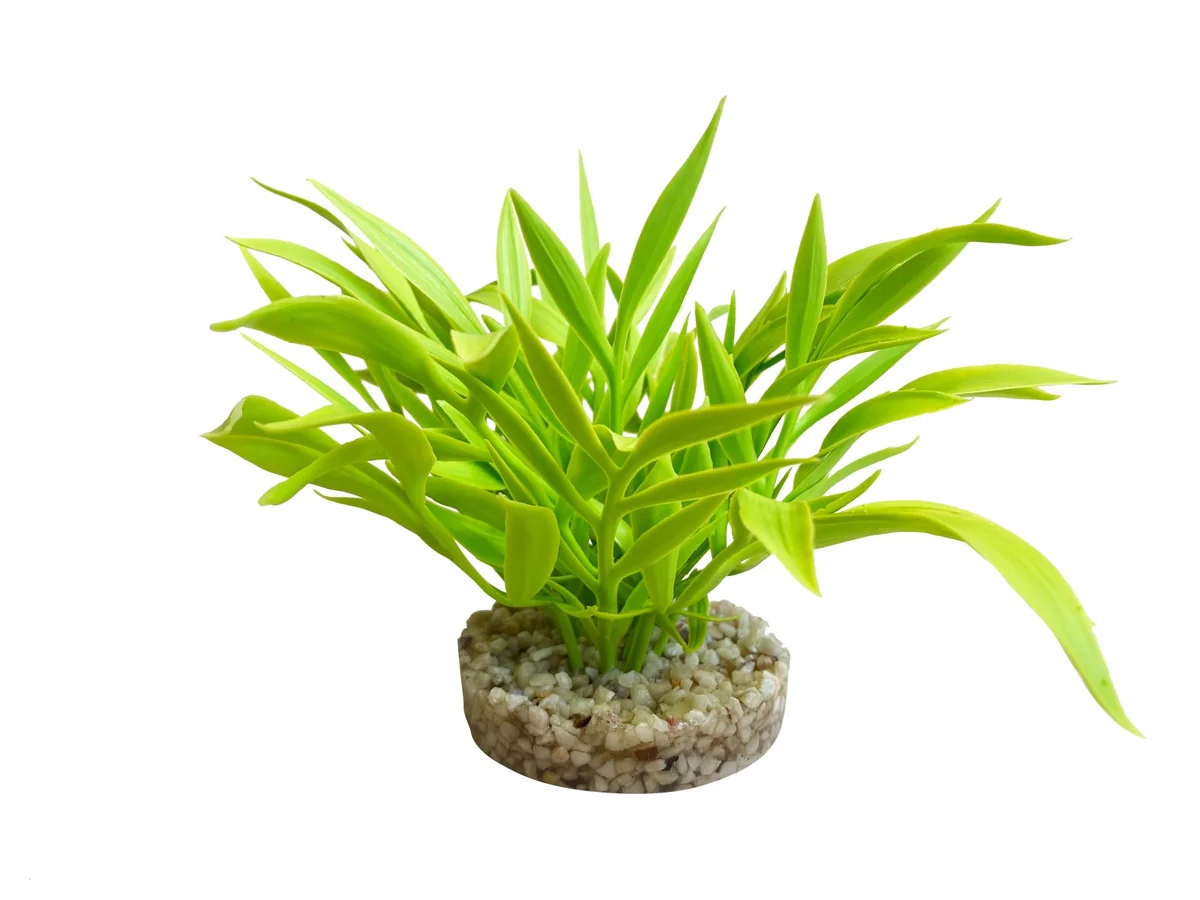 Sydeco Planta Nano Bush Coloured 9 cm 350136