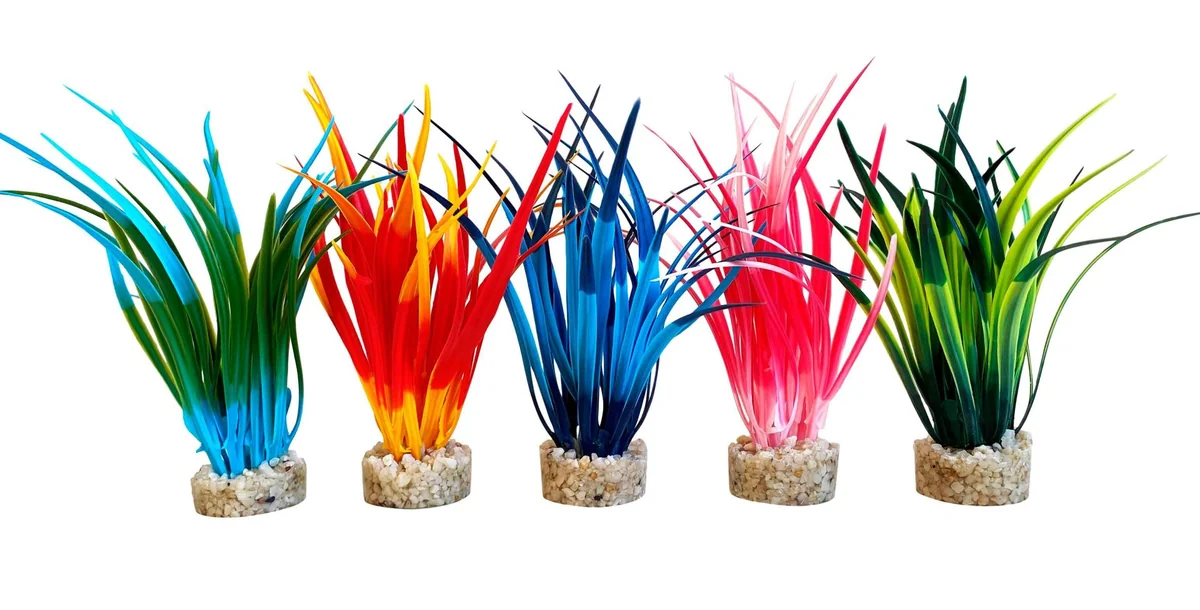 Sydeco Planta Papyrus Medium 15 cm 350145