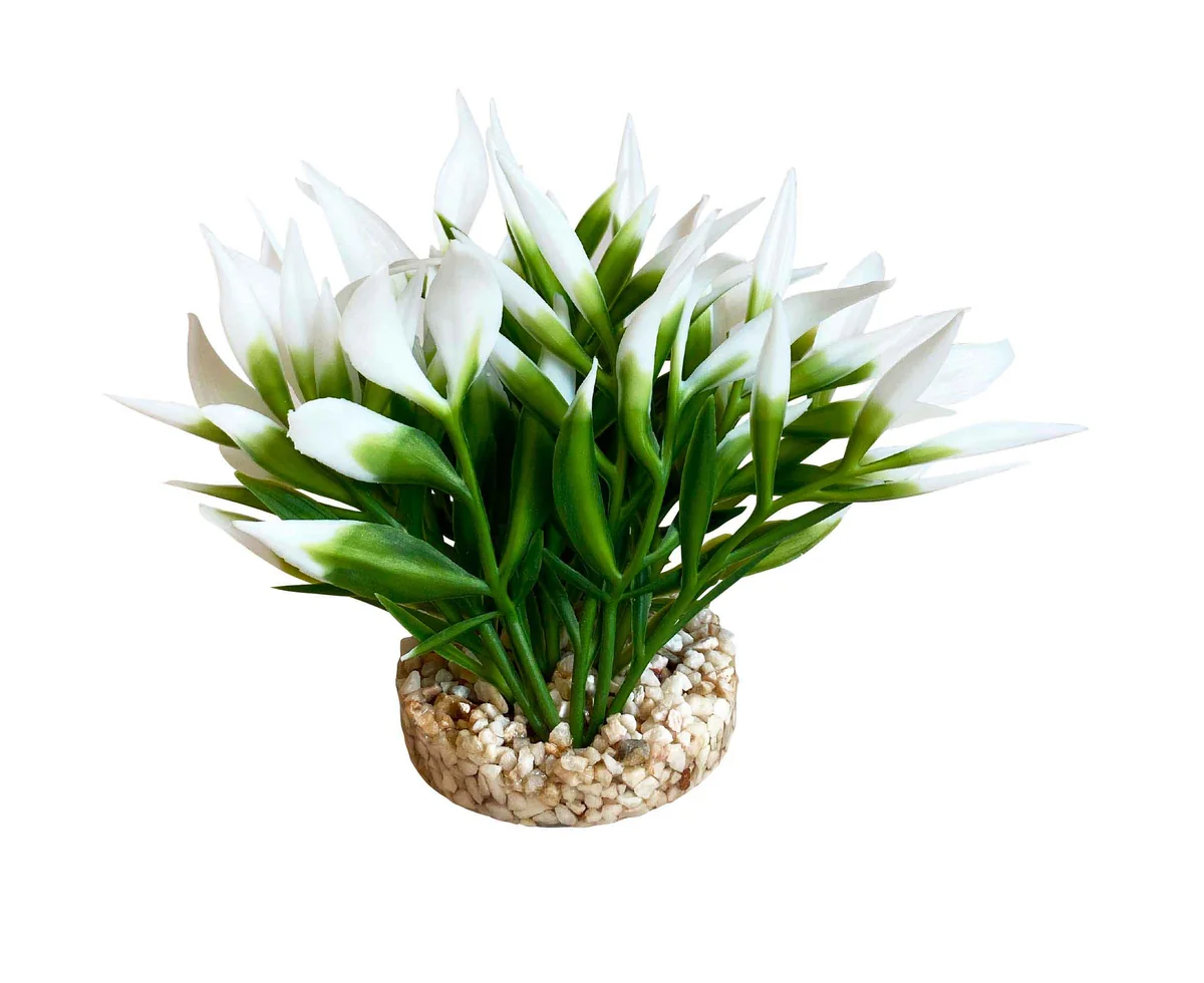 Sydeco Planta Nano Bush Natural 9 cm 350146