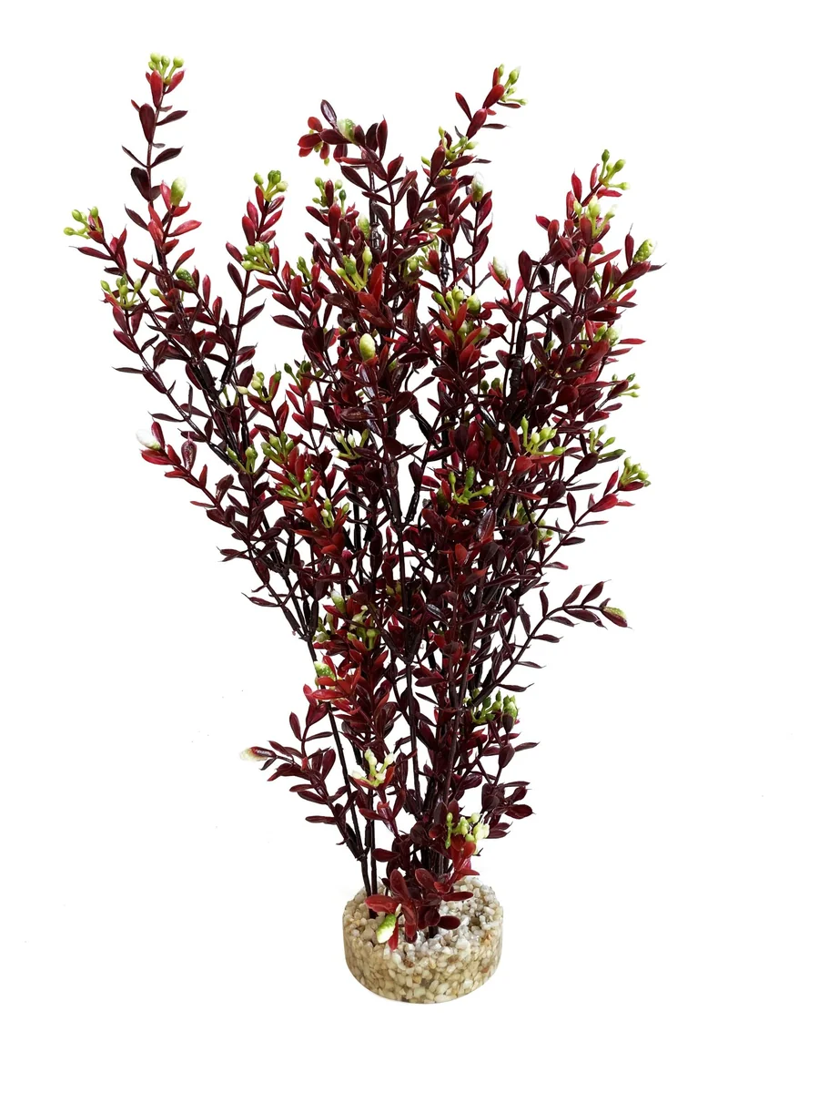 Sydeco Planta Flowering X-Large 35 cm 350150