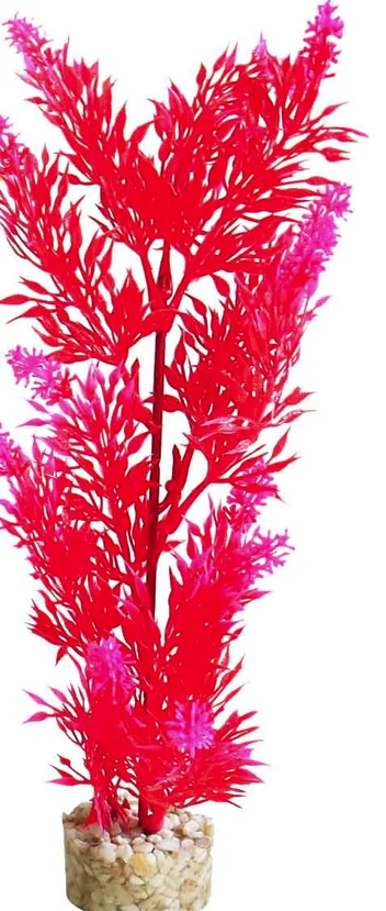 Sydeco Planta Large Bush 20 cm 380006