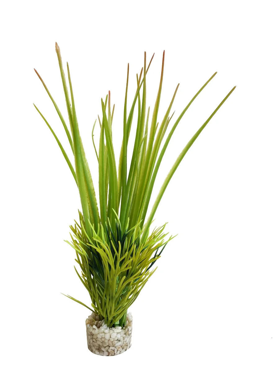 Sydeco Planta Oasis Baby 18 cm 380061