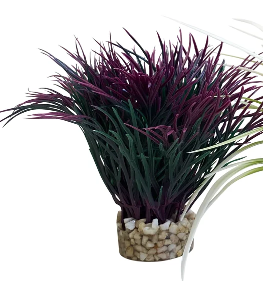 Sydeco Planta Nano Fiesta 13 cm 380090