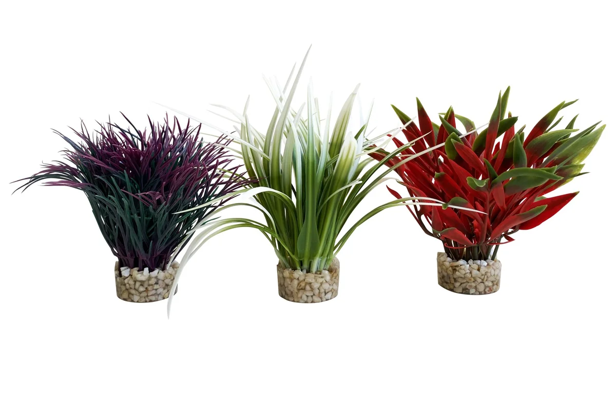 Sydeco Planta Nano Fiesta 13 cm 380090