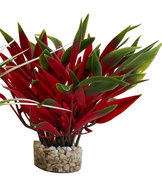 Sydeco Planta Nano Fiesta 13 cm 380090