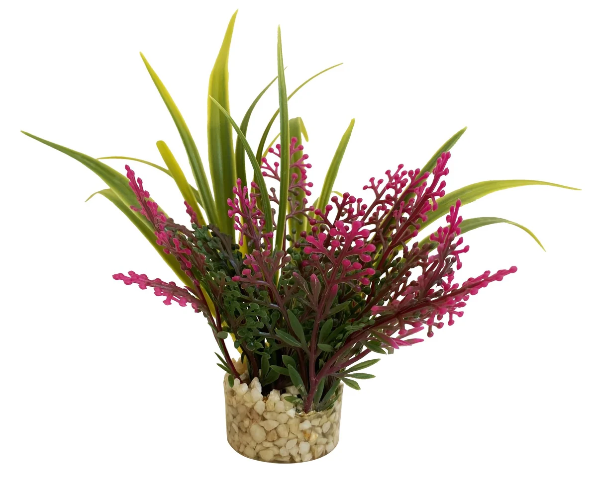 Sydeco Planta Nano Fiesta Flower 12 cm 380091