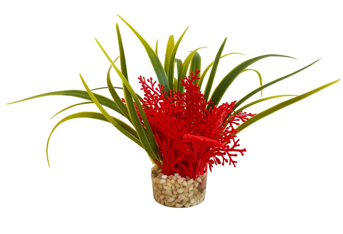 Sydeco Planta Nano Fiesta Flower 12 cm 380091