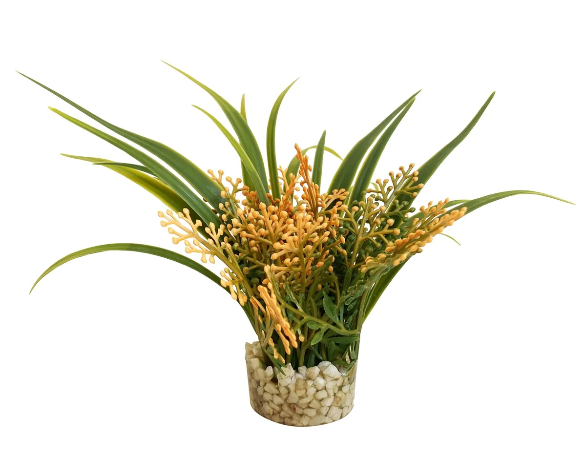 Sydeco Planta Nano Fiesta Flower 12 cm 380091
