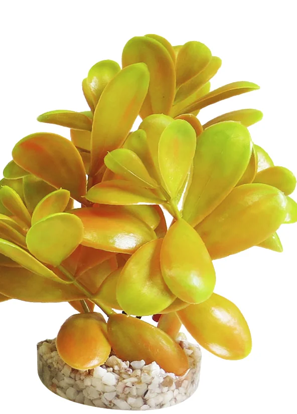 Sydeco Planta Peeble Plant 14 cm 380165