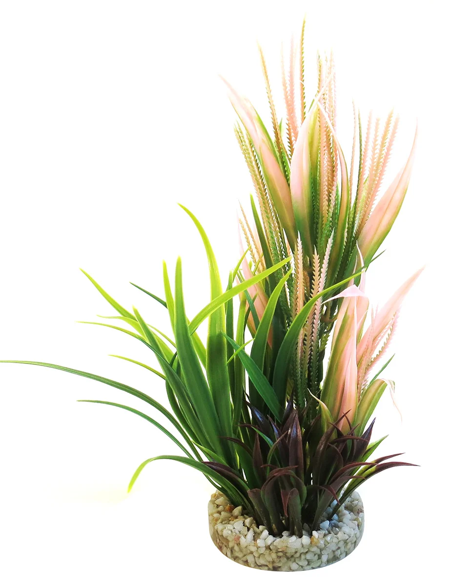 Sydeco Planta Aqua Tropic 21 cm 385008