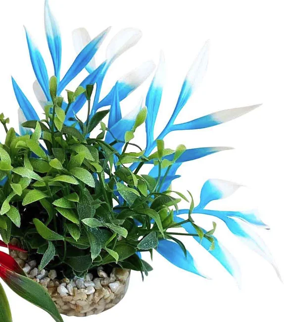 Sydeco Planta Magic Nano Garden 10 cm 380266