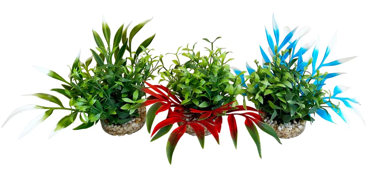Sydeco Planta Magic Nano Garden 10 cm 380266