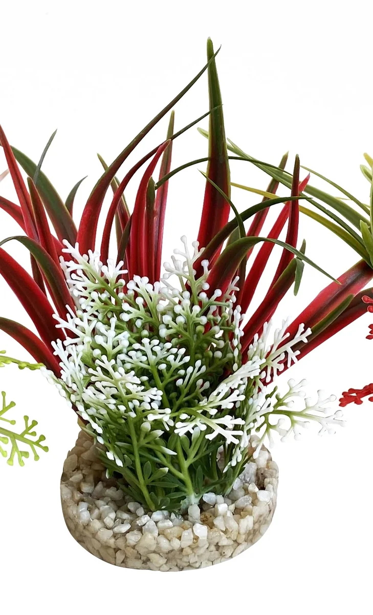 Sydeco Planta Aqua Bouquet 9 cm 385004