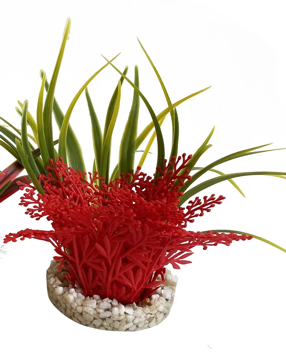 Sydeco Planta Aqua Bouquet 9 cm 385004