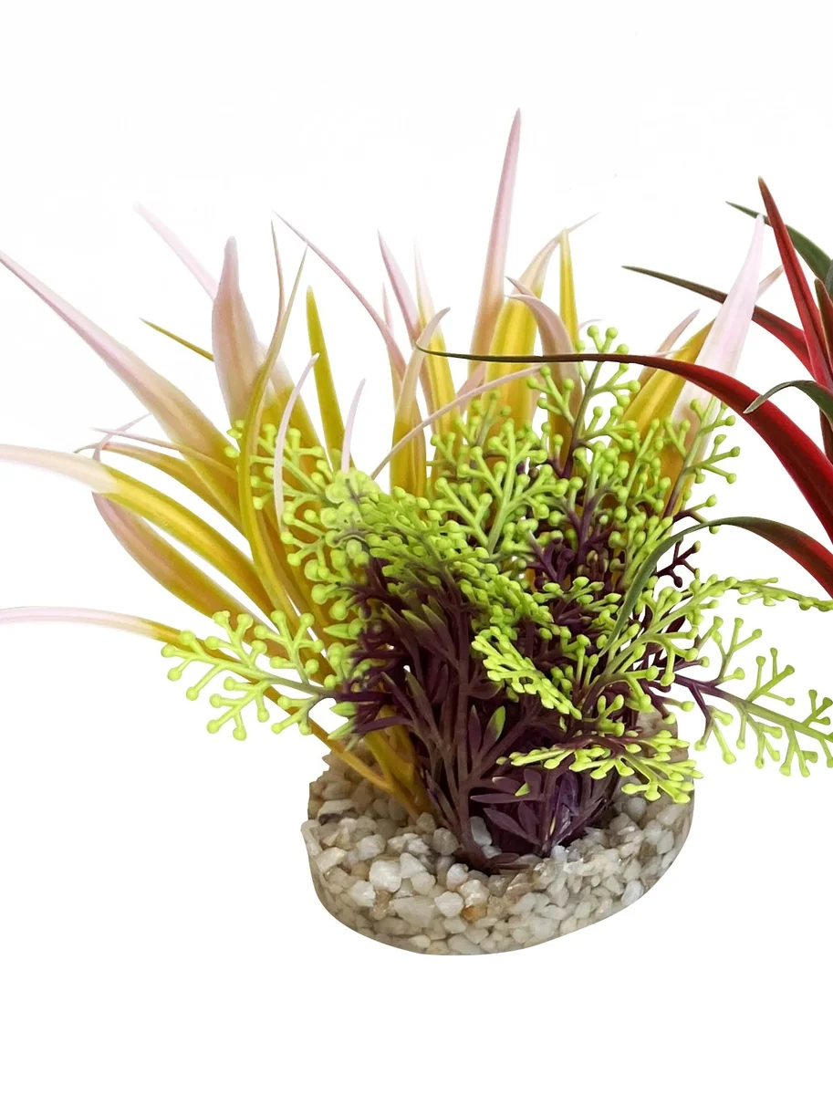 Sydeco Planta Aqua Bouquet 9 cm 385004