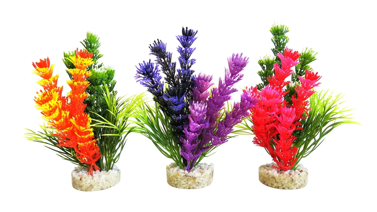 Sydeco Planta Magic Fiesta Colours 16 cm 380269