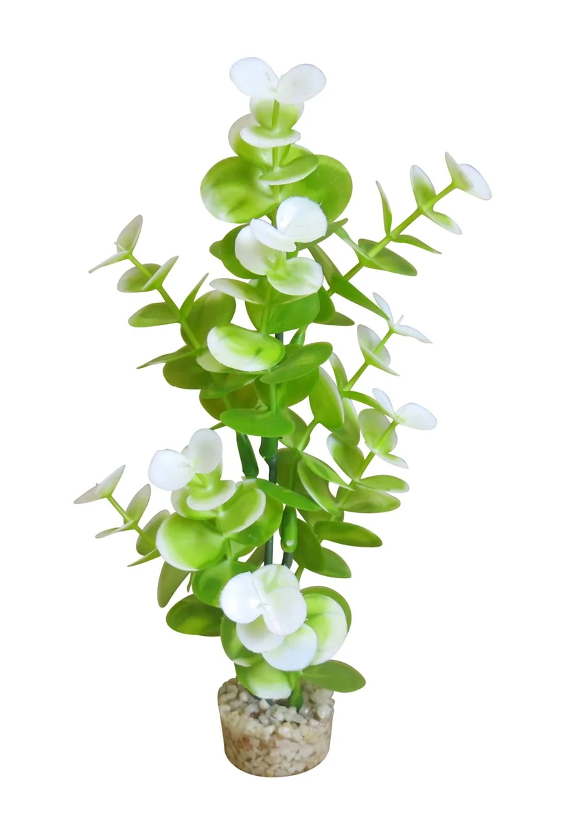 Sydeco Planta Aqua Eucalyptus 23 CM 385002