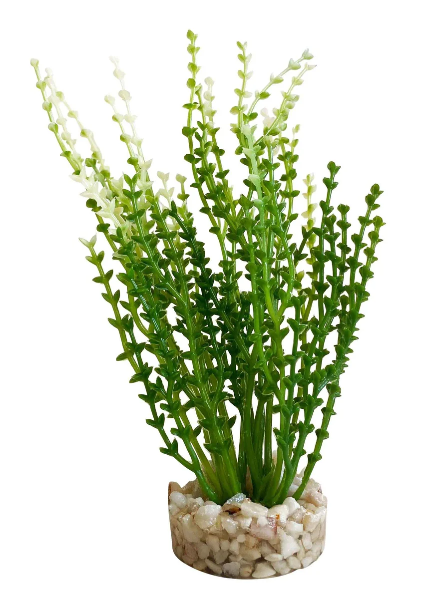 Sydeco Planta Aqua Nano Moss 9 cm 380278