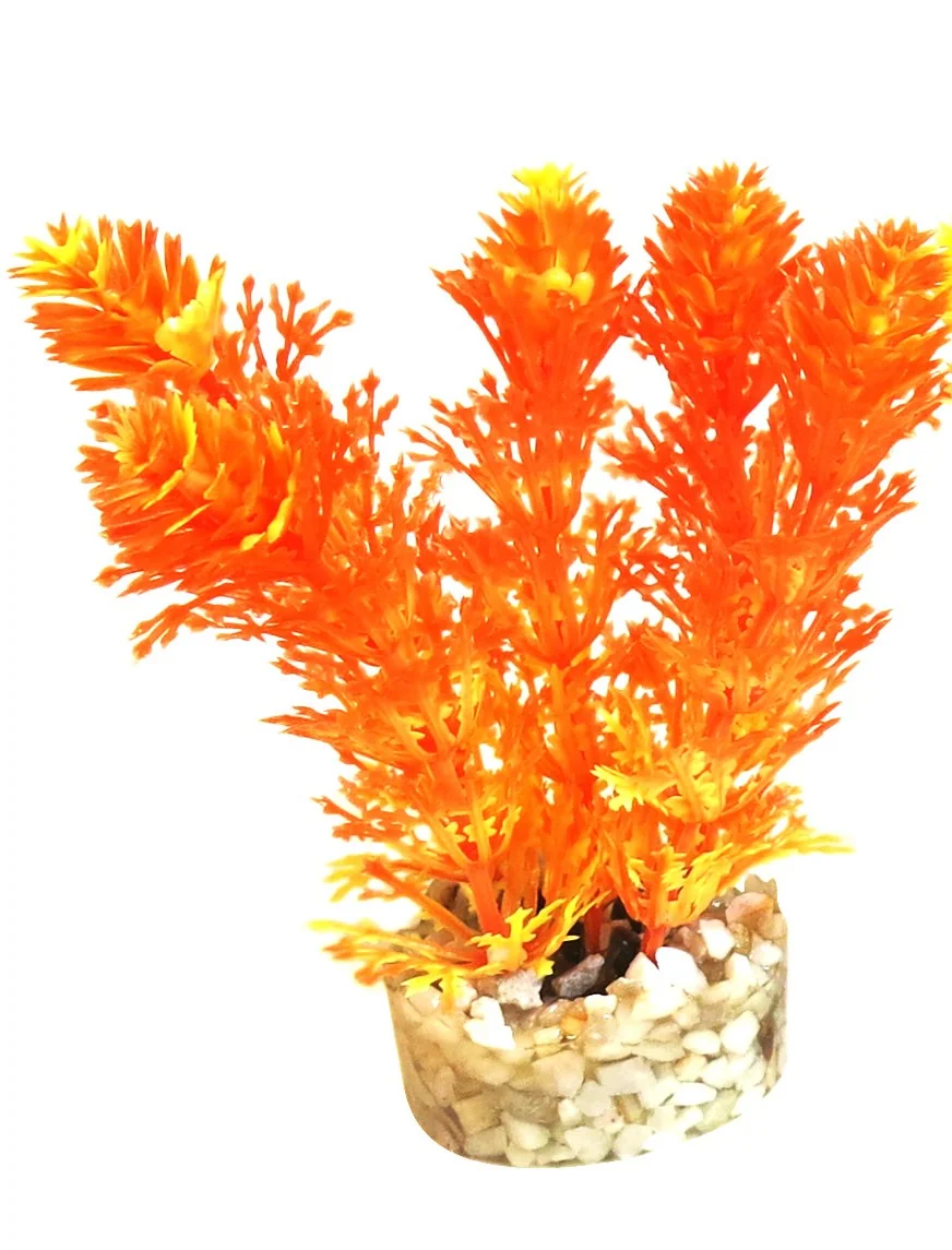 Sydeco Planta Aqua Mini Flower 10 cm 385001