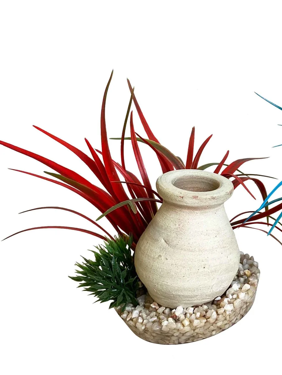 Sydeco Decor Bottle Plants 15 cm 380522