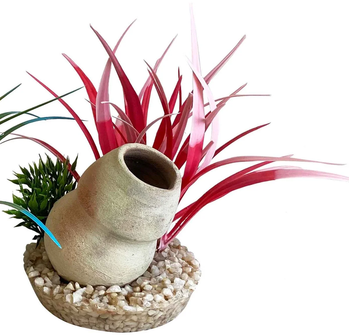 Sydeco Decor Bottle Plants 15 cm 380522