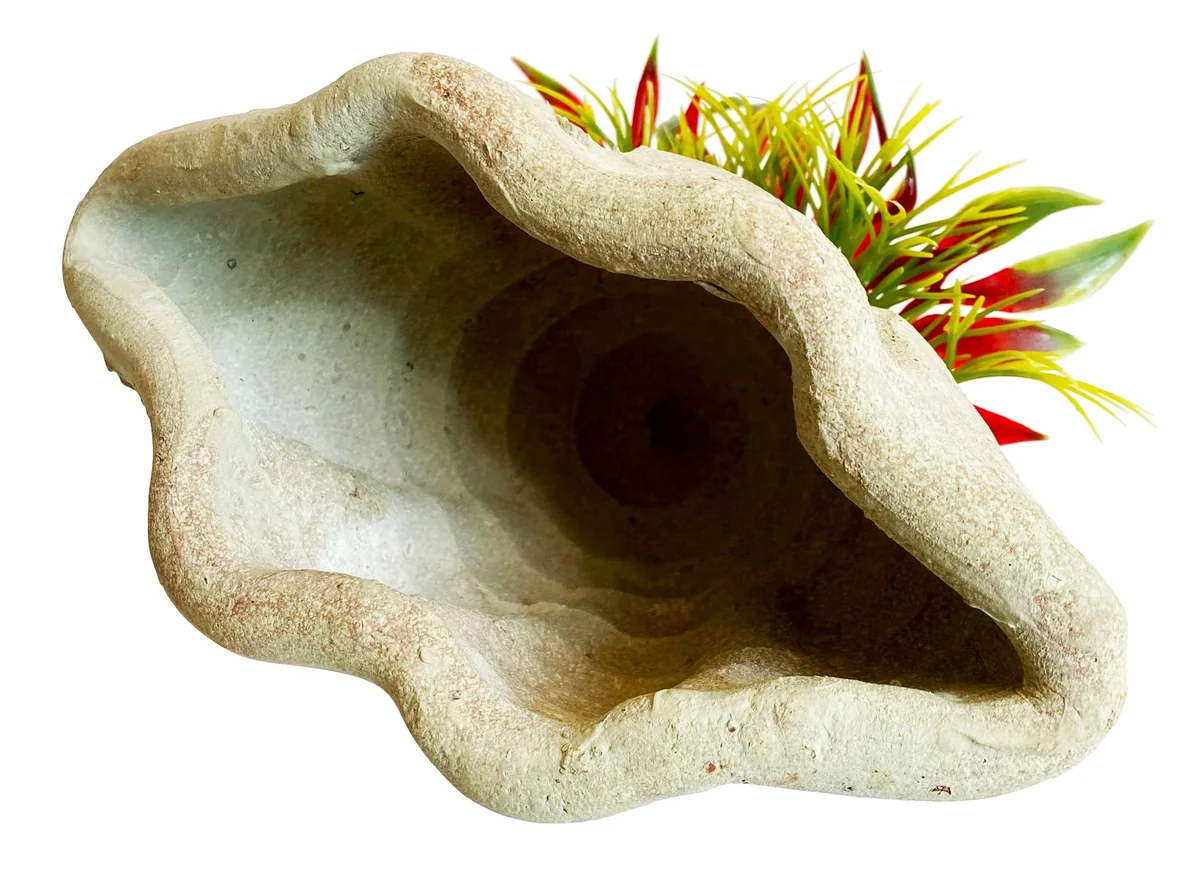 Sydeco Planta Marine Shelter Plants 16 cm 380499