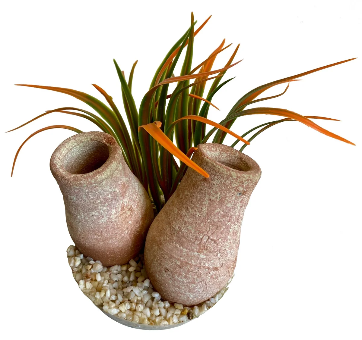 Sydeco Planta Cannon Double 14 cm 380472