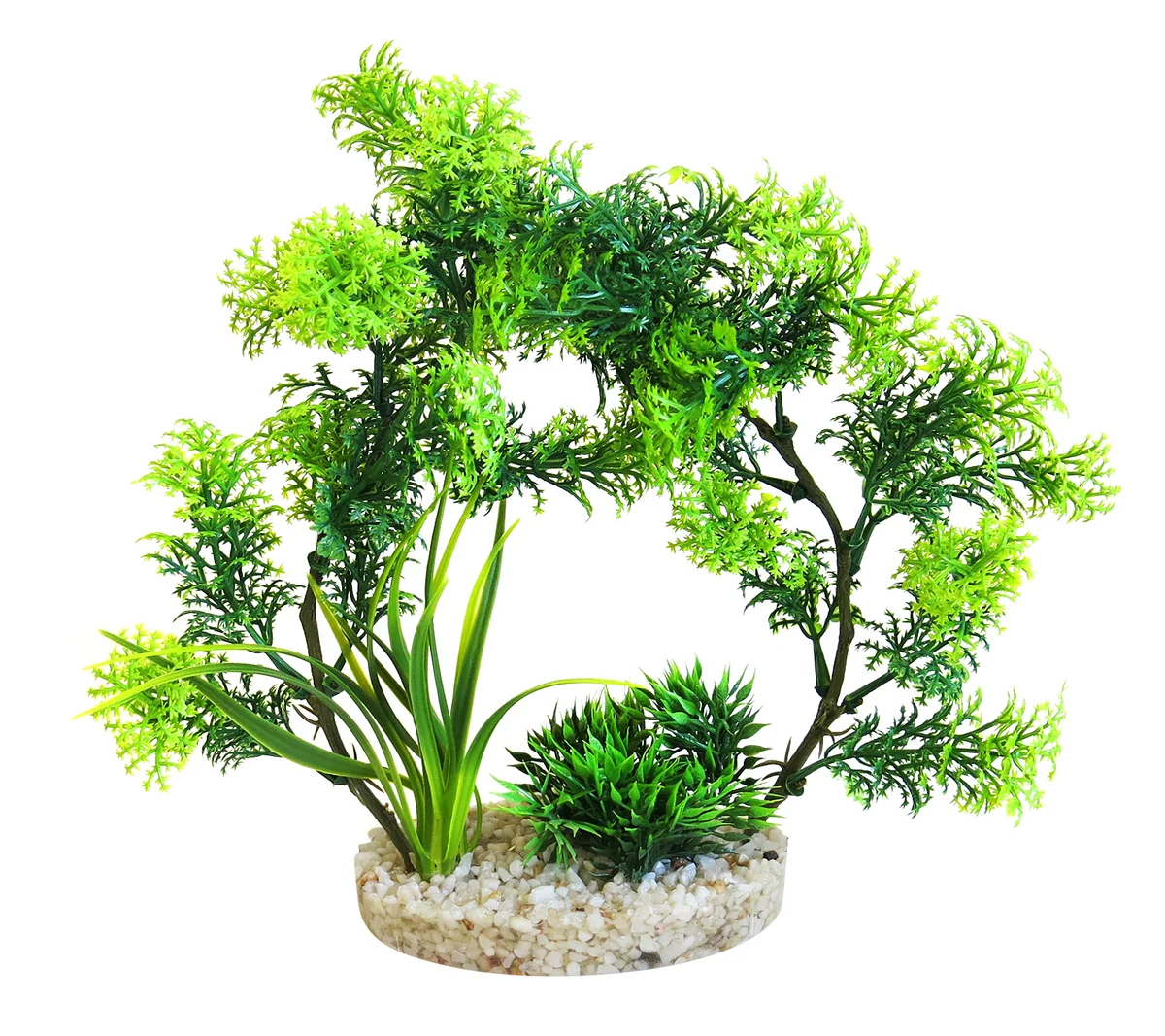 Sydeco Planta Arch Plants 21 cm 380447